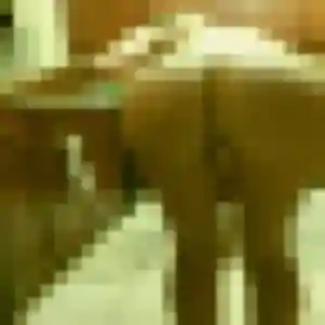 Profil de Rania à Abbaretz (29 ans) - plan cul sans inscription