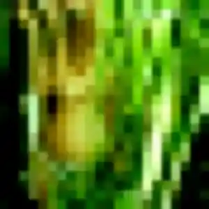 plan cul à Ablis : photo de Stella, 27 ans - accès libre