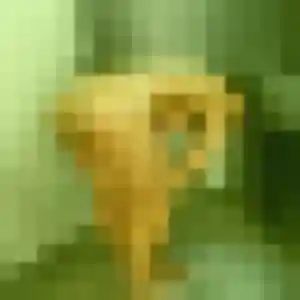 Découvre Mailys, 32 ans à Aigneville en t'inscrivant