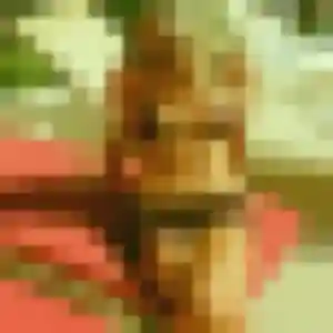 Photo exclusive de Aya, 30 ans à Aiserey - rencontre sans lendemain