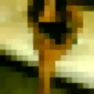 Lyana, fille de 26 ans veut plan cul à Alfortville