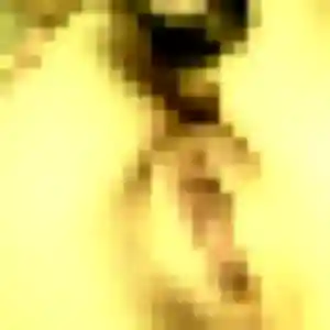 Felicite, 34 ans, dispo pour plan cul à Allerey-sur-Saône