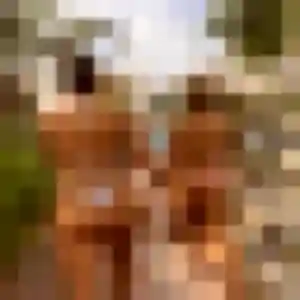 Photo exclusive de Clarisse, 33 ans à Alligny-en-Morvan - plan discret