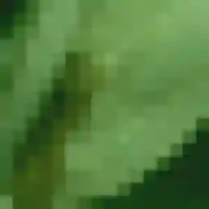 Justine (29 ans) à Allineuc attend une rencontre aujourd'hui