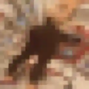 Luna (20 ans) à Allineuc propose une rencontre aujourd'hui