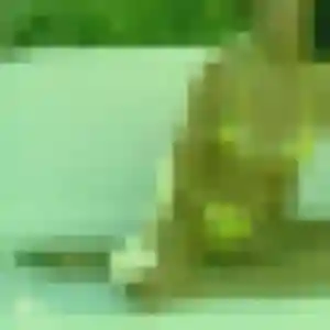 Photo de Axelle à Almenêches (29 ans) - plan cul gratuit