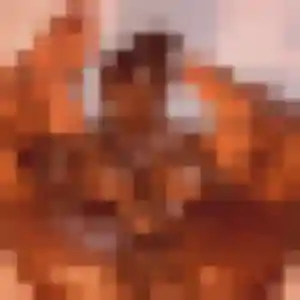 Photo de Elia à Alquines (26 ans) - plan cul anonyme