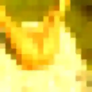 Photo perso de Elia, 31 ans à Alvimare - rencontre coquine