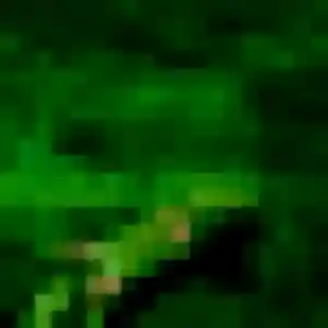 Charmante Maeva, 33 ans à Amboise - découvrir son profil