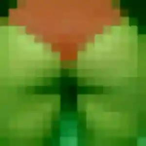 Photo de Felicite à Ambonnay (22 ans) - plan cul anonyme