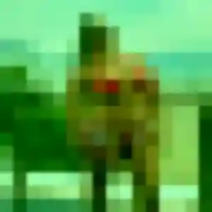 Celeste, 21 ans, dispo pour plan cul à Amfreville-sur-Iton