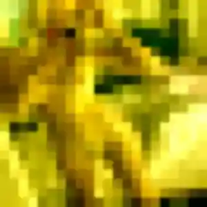 Rencontre Safiya, 26 ans à Amfreville en privé