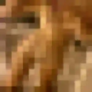 Lina, 20 ans, dispo pour plan cul à Anceaumeville