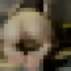 Violette, 21 ans, connectée à Andé pour une rencontre coquine