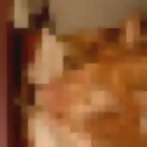 Jolie Colombe, 24 ans à Anet - la contacter