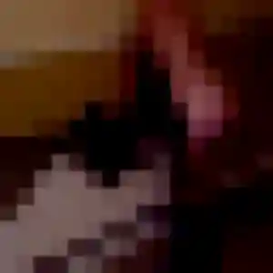 Assia, fille de 33 ans cherche plan cul à Angé