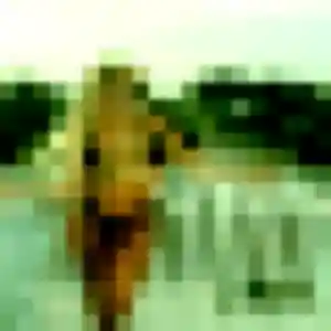 Sexy Lilou, 35 ans à Anglesqueville-l'Esneval - voir sa photo