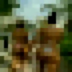 Contacte Noemi, 38 ans à Angrie gratuitement