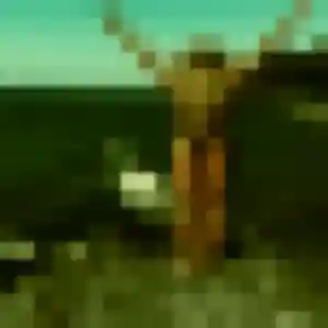 Eglantine, 24 ans, en ligne à Angy pour une rencontre coquine