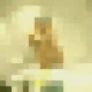 Charline, 24 ans, disponible à Aniche pour une rencontre coquine