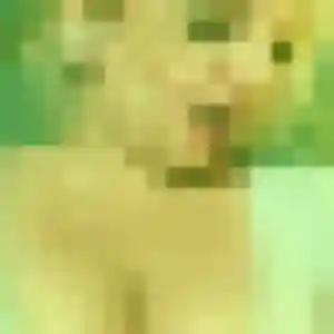 Noemi (26 ans) à Ansauvillers attend un plan cul aujourd'hui