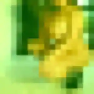 Malika, 24 ans, en ligne à Antony pour une rencontre coquine