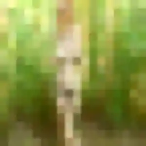 plan cul à Arcueil : profil de Candice, 35 ans - accès libre