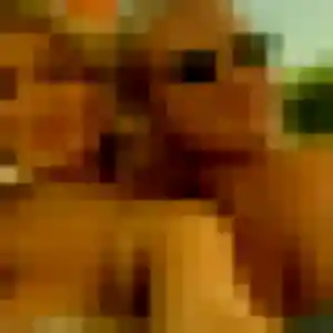 Prisca, femme de 39 ans veut plan cul à Ardentes