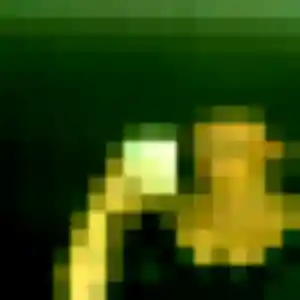 Lison de Argentré-du-Plessis, 22 ans - plan cul sans prise de tête