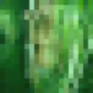 Charline, 36 ans, en ligne à Arleux-en-Gohelle pour un plan cul