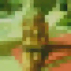 Emna de Arnières-sur-Iton, 36 ans - plan cul discret