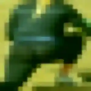 plan cul à Arnières-sur-Iton : profil de Mona, 27 ans - accès libre