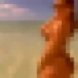 Eden, 35 ans, disponible à Arpajon pour une rencontre coquine