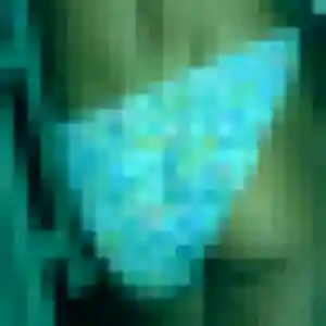 Constance, 38 ans, connectée à Arrest pour une rencontre coquine