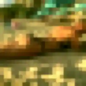 Photo de Mona à Arronville (36 ans) - plan cul sans inscription