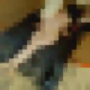 Photo de Oceane à Aschères-le-Marché (29 ans) - plan cul discret