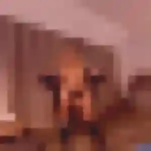 Candice, fille de 19 ans cherche plan cul à Aspremont