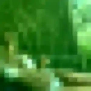 Photo de Mila à Aspres-sur-Buëch (37 ans) - plan cul discret