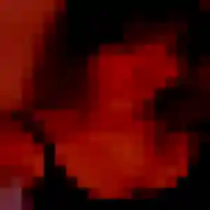 plan cul à Aube : photo de Elina, 35 ans - accès libre