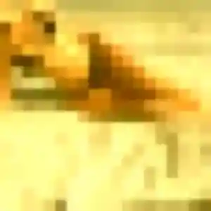 Heloise, 29 ans, veut un plan cul à Aubergenville