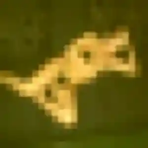 Safiya de Aubry-du-Hainaut, 32 ans - plan cul sans lendemain