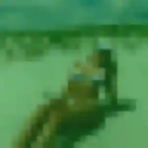 Photo sexy de Salome, 30 ans à Auffargis - rencontre coquine