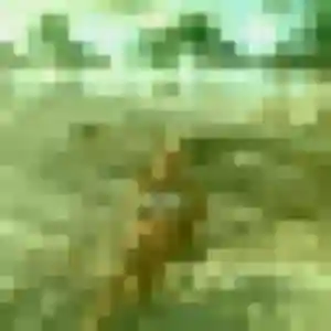 Rejoins Djenna, 39 ans à Aumale en t'inscrivant