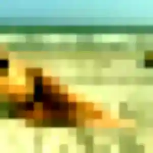 plan cul à Aunay-sous-Crécy : profil de Capucine, 27 ans - sans engagement