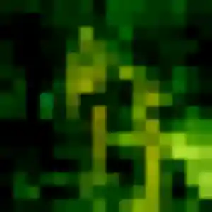 Violette, femme de 19 ans veut plan cul à Auppegard