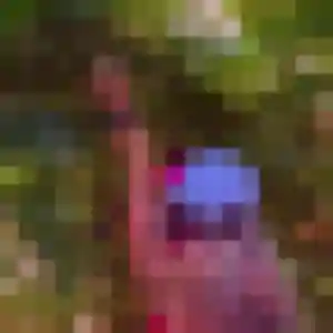 Photo privée de Nael, 39 ans à Auray - rencontre sans lendemain