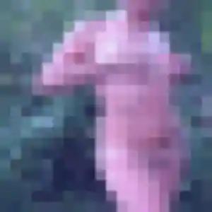 Syrine, 32 ans, cherche un plan cul à Aurillac