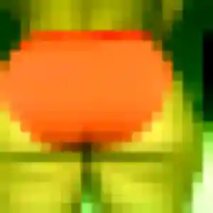 Sexy Olivia, 32 ans à Autouillet - découvrir son profil