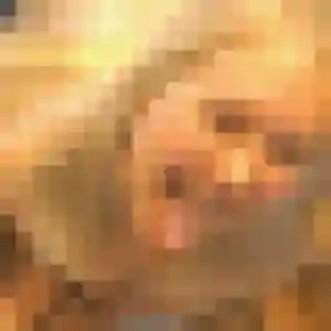 plan cul à Autry-le-Châtel : profil de Manelle, 28 ans - sans engagement