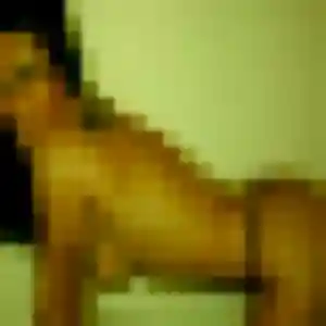 Photo perso de Prisca, 37 ans à Auzebosc - rencontre sans lendemain